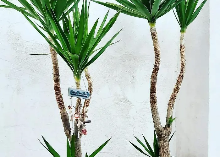 La Del Mar فندق مبيت وإفطار