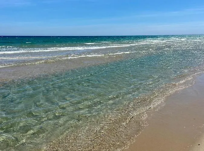 فندق مبيت وإفطار La Del Mar غران ألاكانت